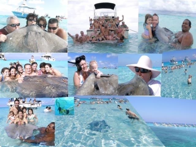 Stingray City