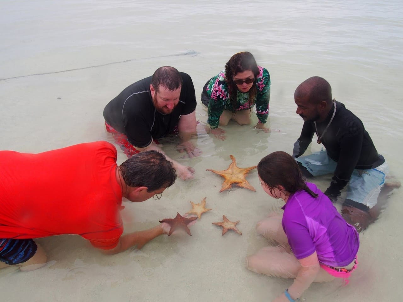 Starfish Point Beach