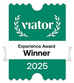 Viator winner 2025