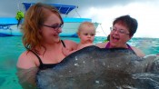 Stingray City & Coral Garden Snorkeling Tour