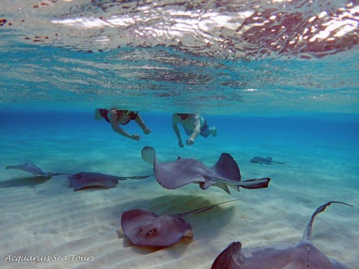 Stingray City, Coral Garden Snorkel & Hell Tour